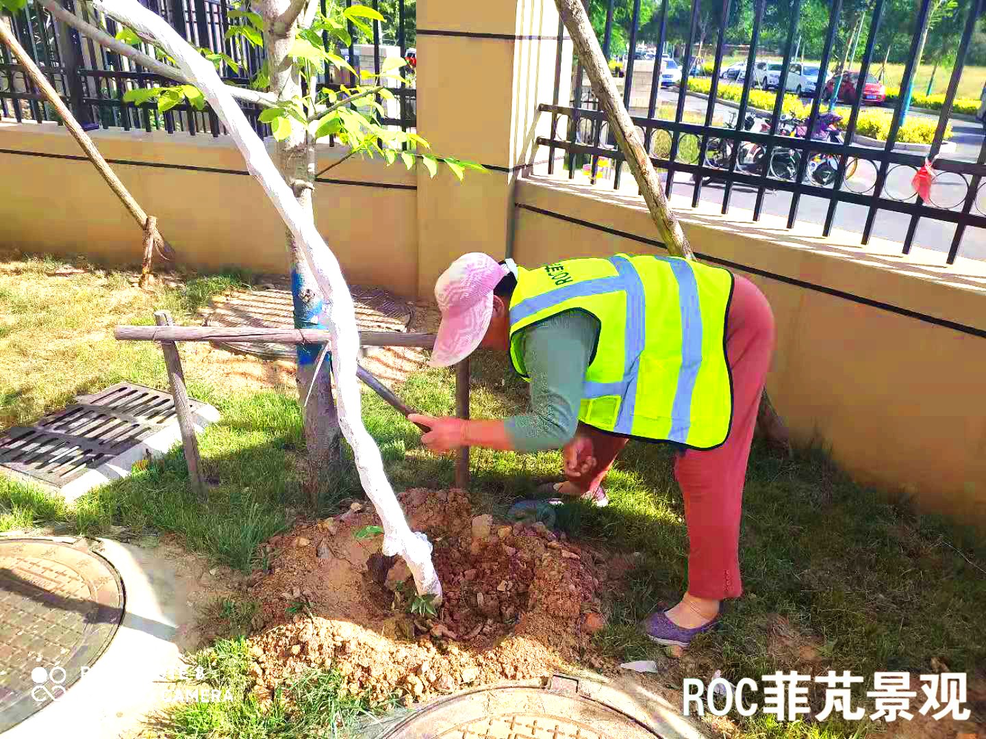 菲芃景觀·春夏養(yǎng)護